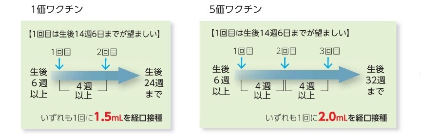 スケジュール ワクチン