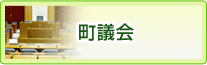 町議会